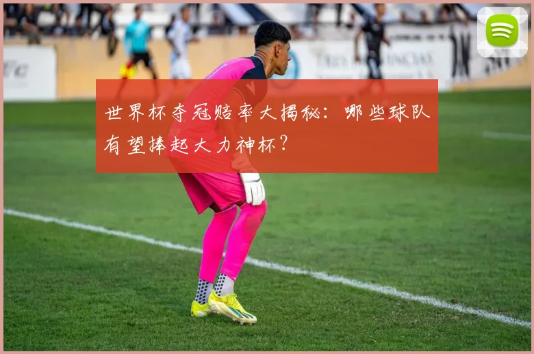 世界杯夺冠赔率大揭秘：哪些球队有望捧起大力神杯？